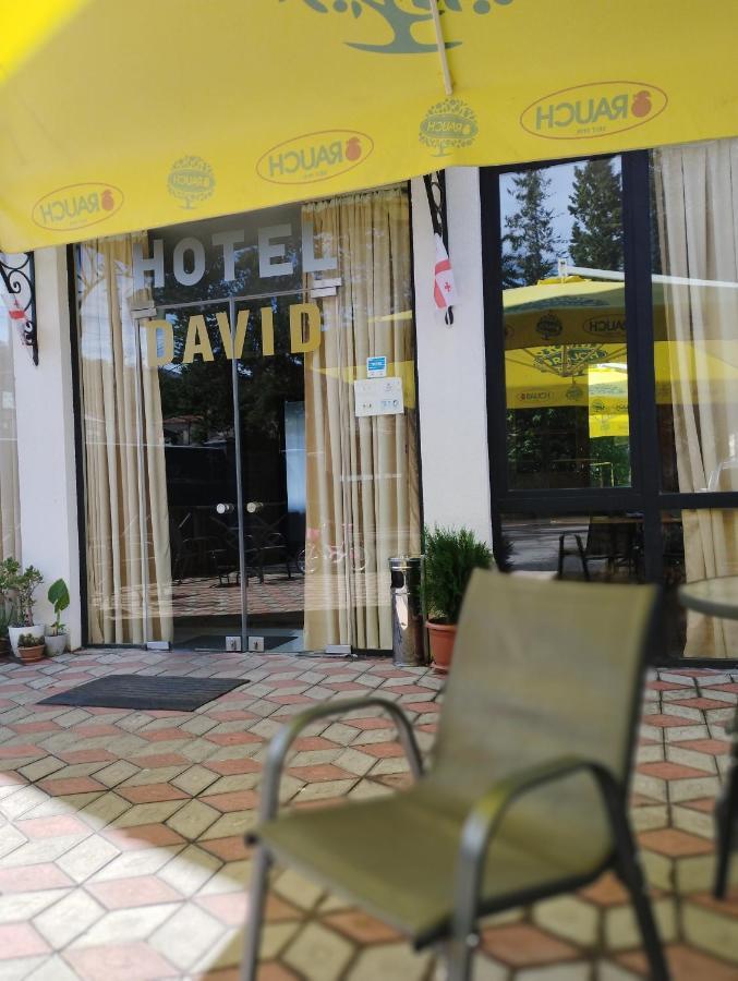 David Hotel Kutaisi Bagian luar foto